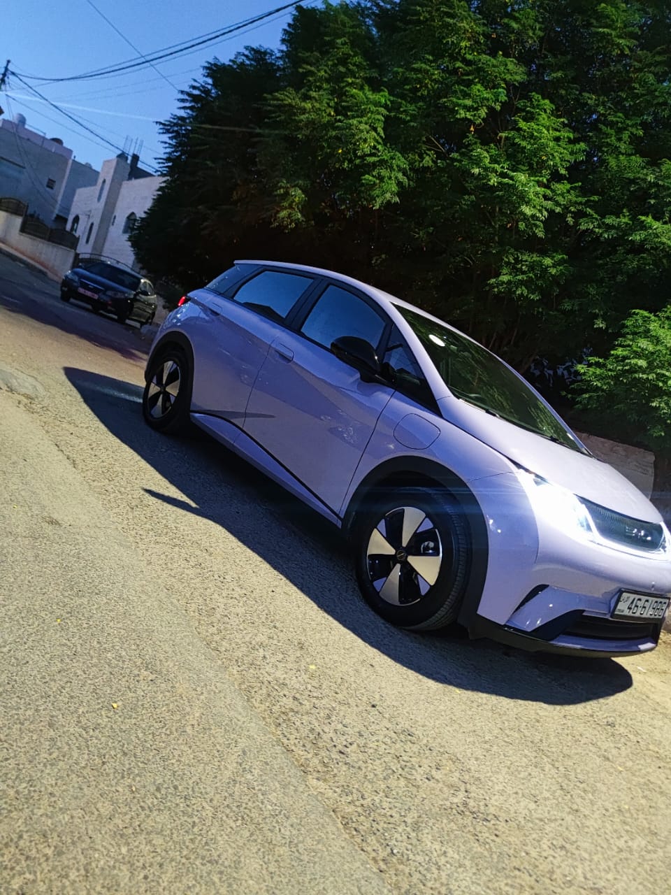 BYD Dolphin interior view